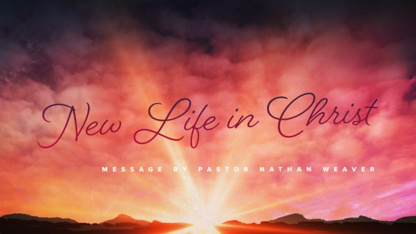 New Life in Christ