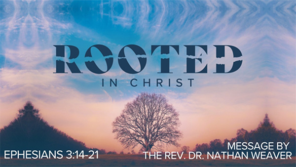 Rooted in Christ