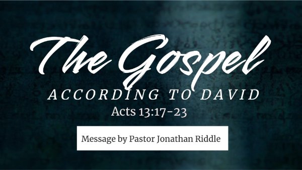 The Gospel According to David