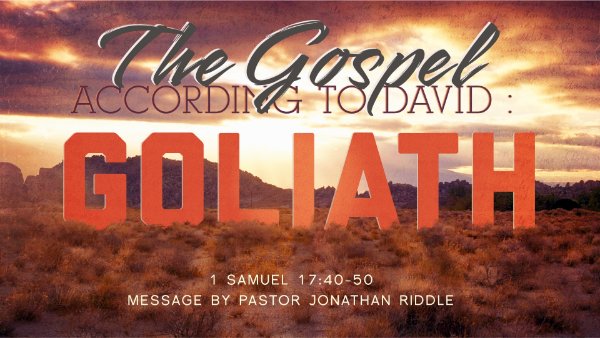 The Gospel According to David: Goliath