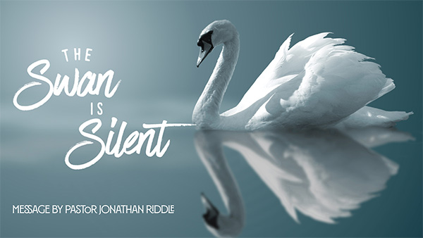 The Swan is Silent